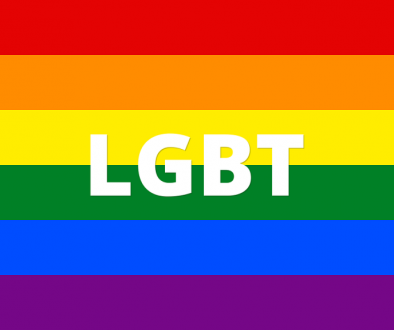 INVESTIGAÇÃO GLS - LGBT
